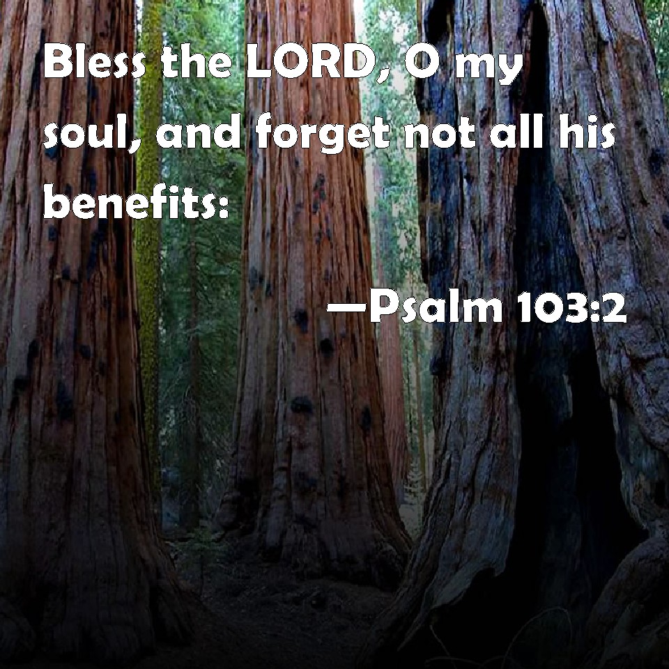 Psalm 103 2 Bless The LORD O My Soul And Forget Not All His Benefits 