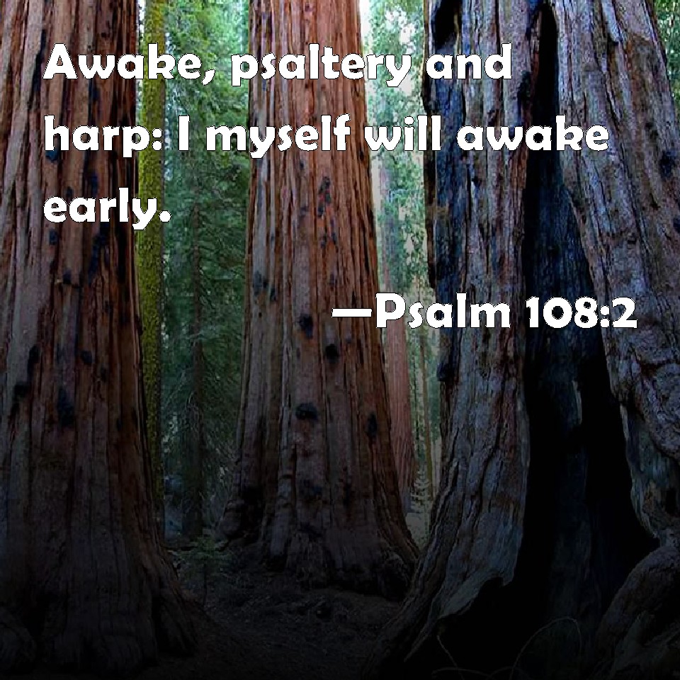 Psalm 108 2 Awake Psaltery And Harp I Myself Will Awake Early 