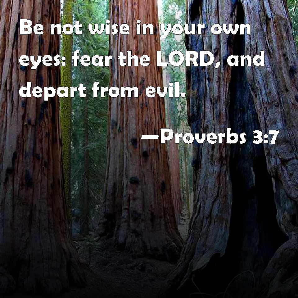 Proverbs 37 Be Not Wise In Your Own Eyes Fear The Lord And Depart