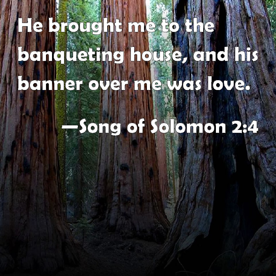 Song Of Solomon 2:4 He Brought Me To The Banqueting House, And His Banner  Over Me Was Love.