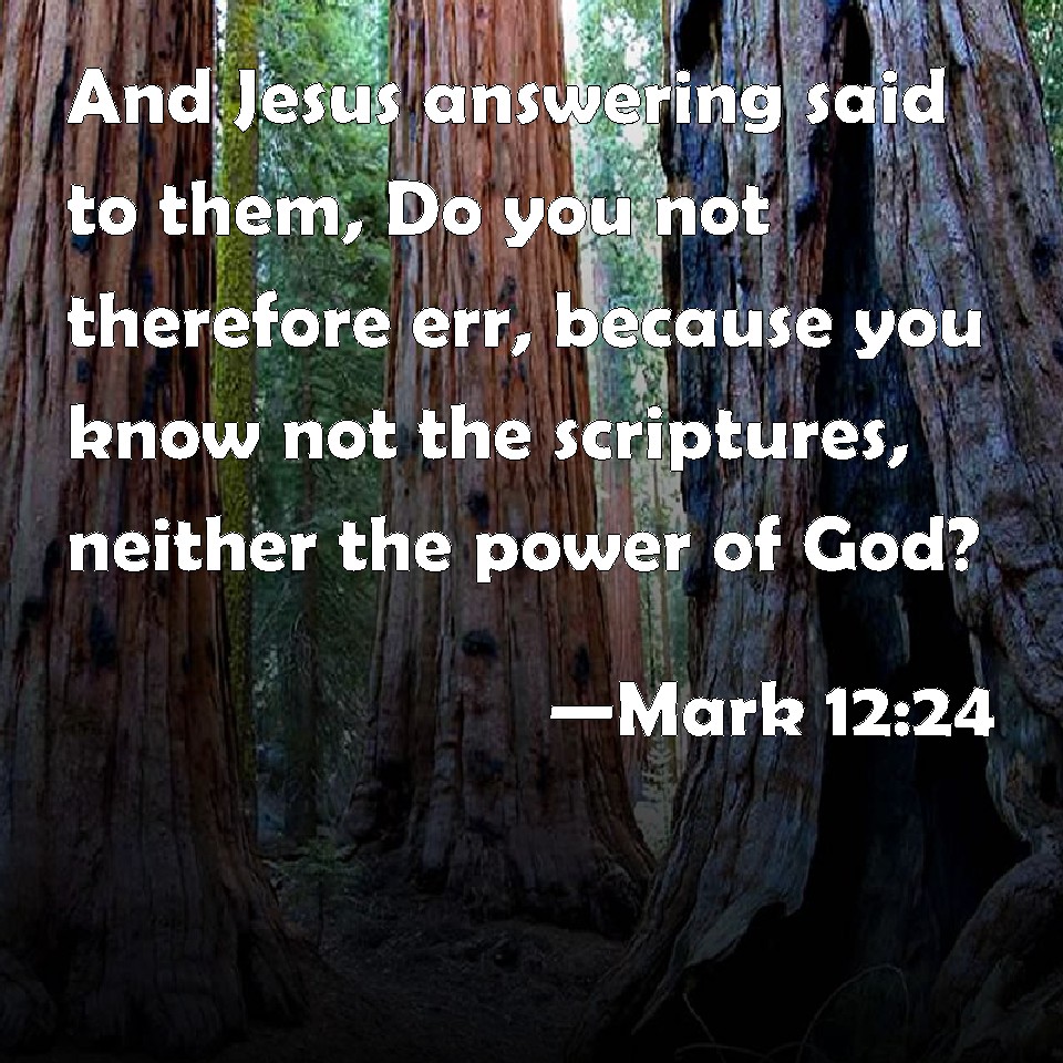 mark-12-24-and-jesus-answering-said-to-them-do-you-not-therefore-err-because-you-know-not-the