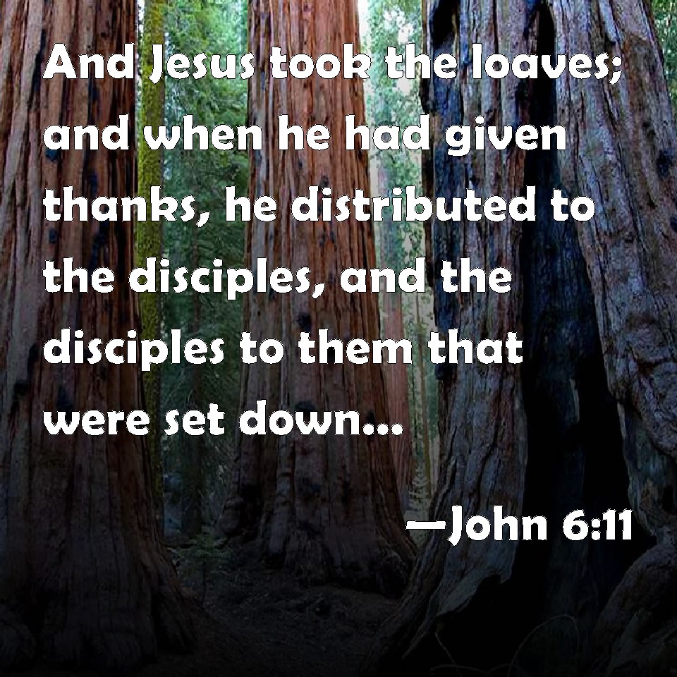 John 6:11 And Jesus took the loaves; and when he had given thanks ...