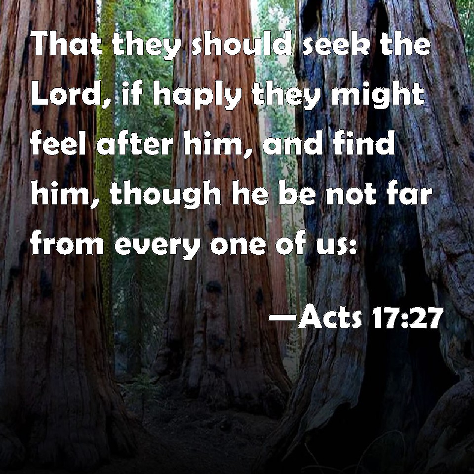 acts-17-27-that-they-should-seek-the-lord-if-haply-they-might-feel