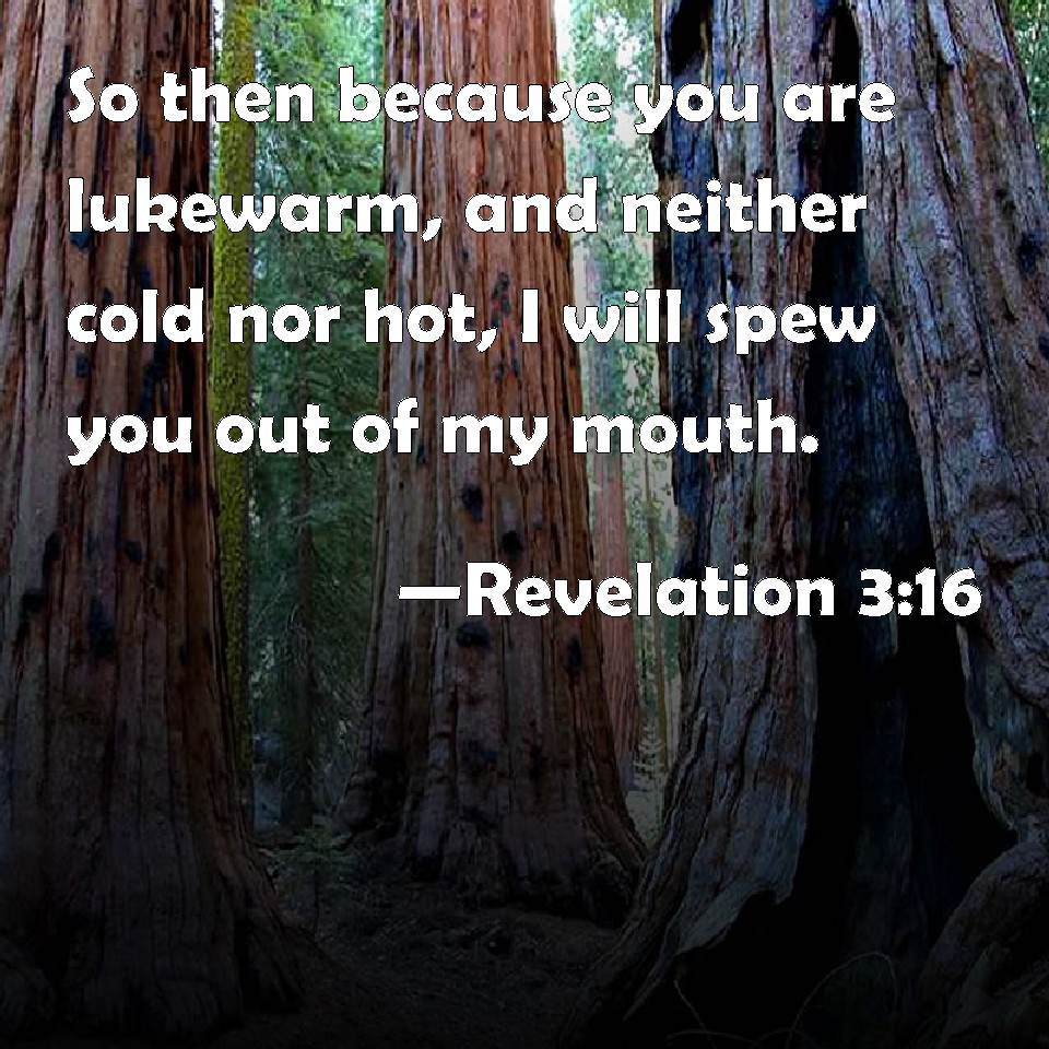 Revelation 316 So Then Because You Are Lukewarm And Neither Cold Nor Hot I Will Spew You Out