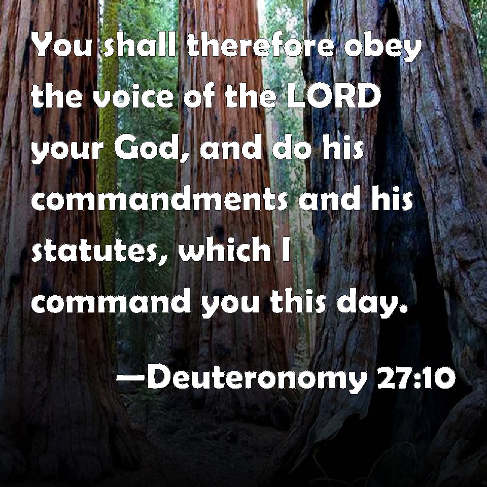 Deuteronomy 27:10 You shall therefore obey the voice of the LORD your ...