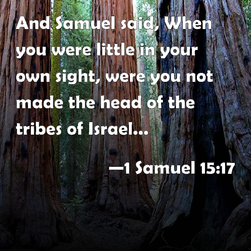 1 Samuel 15:17 And Samuel said, When you were little in your own ...