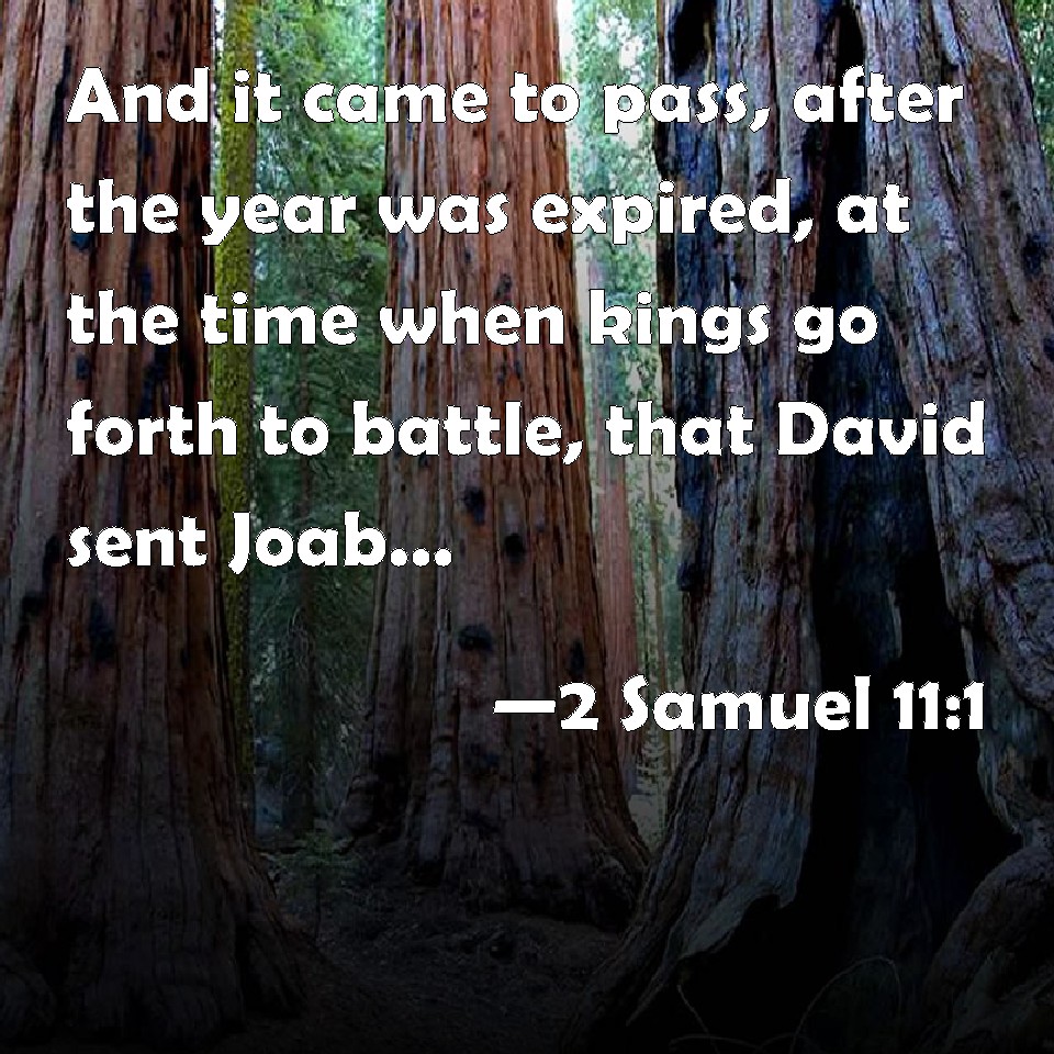 Samuel And It Came To Pass After The Year Was Expired At The Time When Kings Go Forth