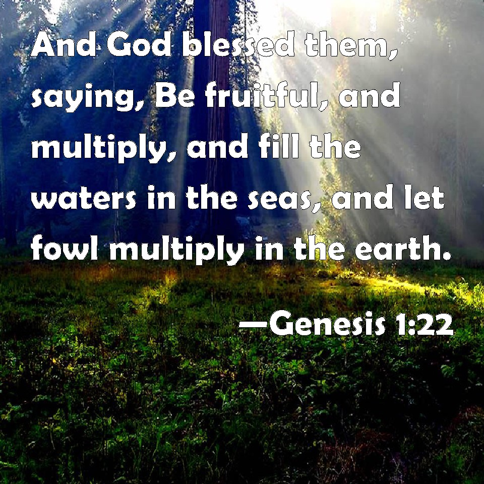 genesis-1-22-and-god-blessed-them-saying-be-fruitful-and-multiply