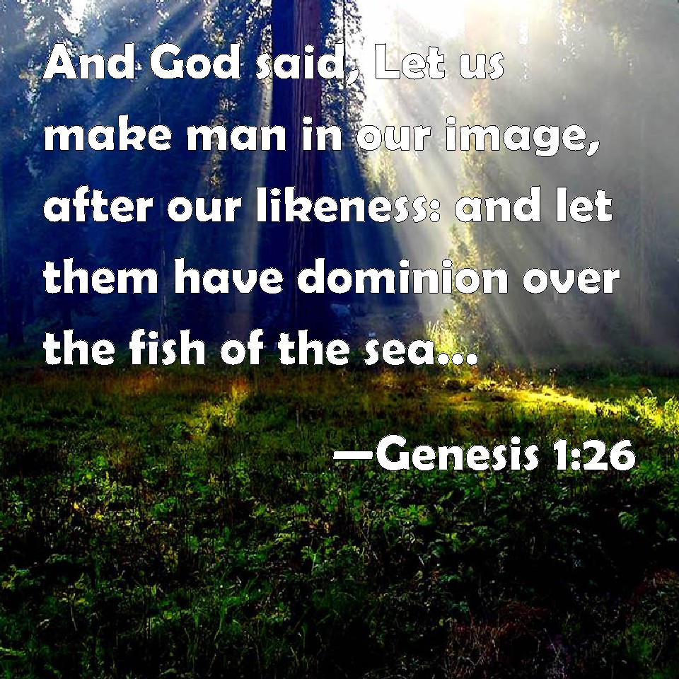 Genesis 1 26 And God Said Let Us Make Man In Our Image After Our 