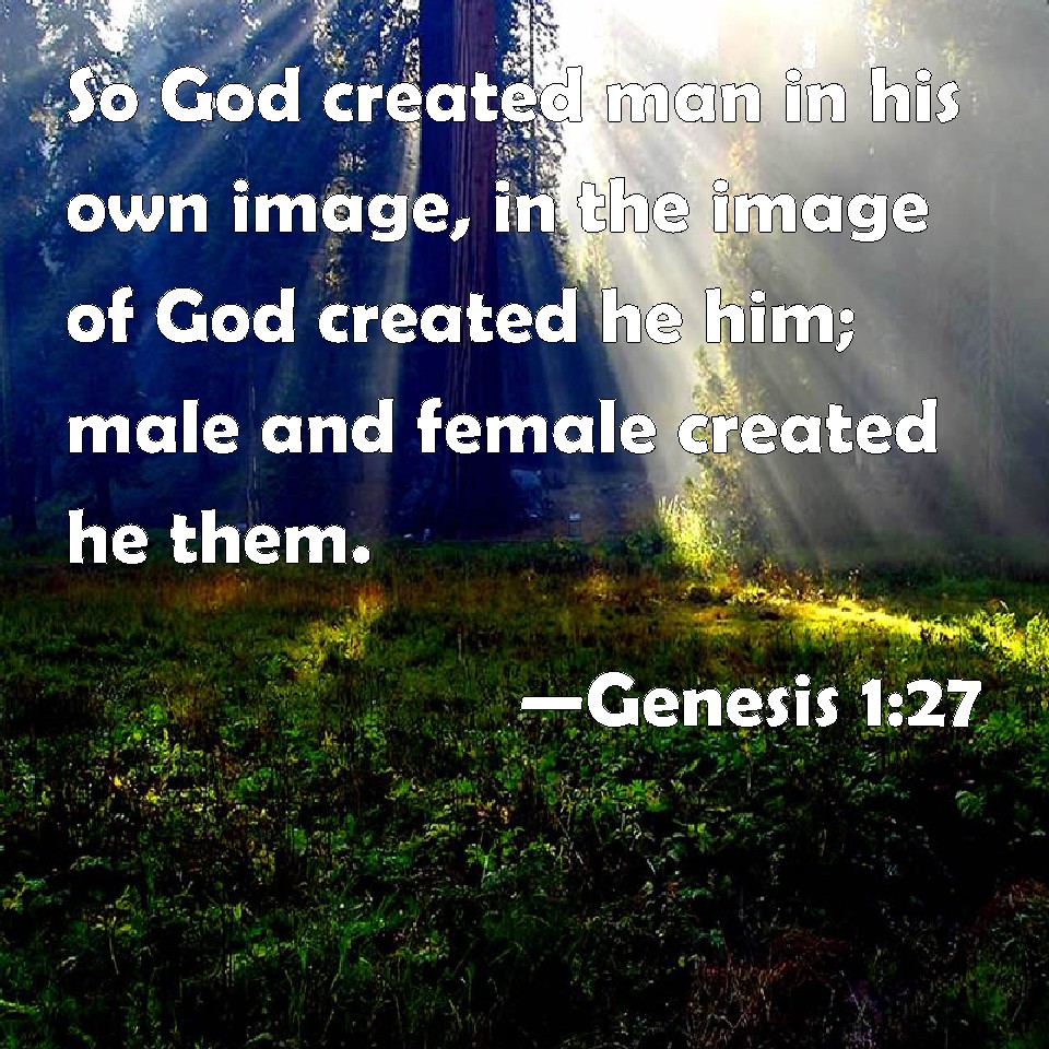 Genesis 1 27 So God Created Man In His Own Image In The Image Of God