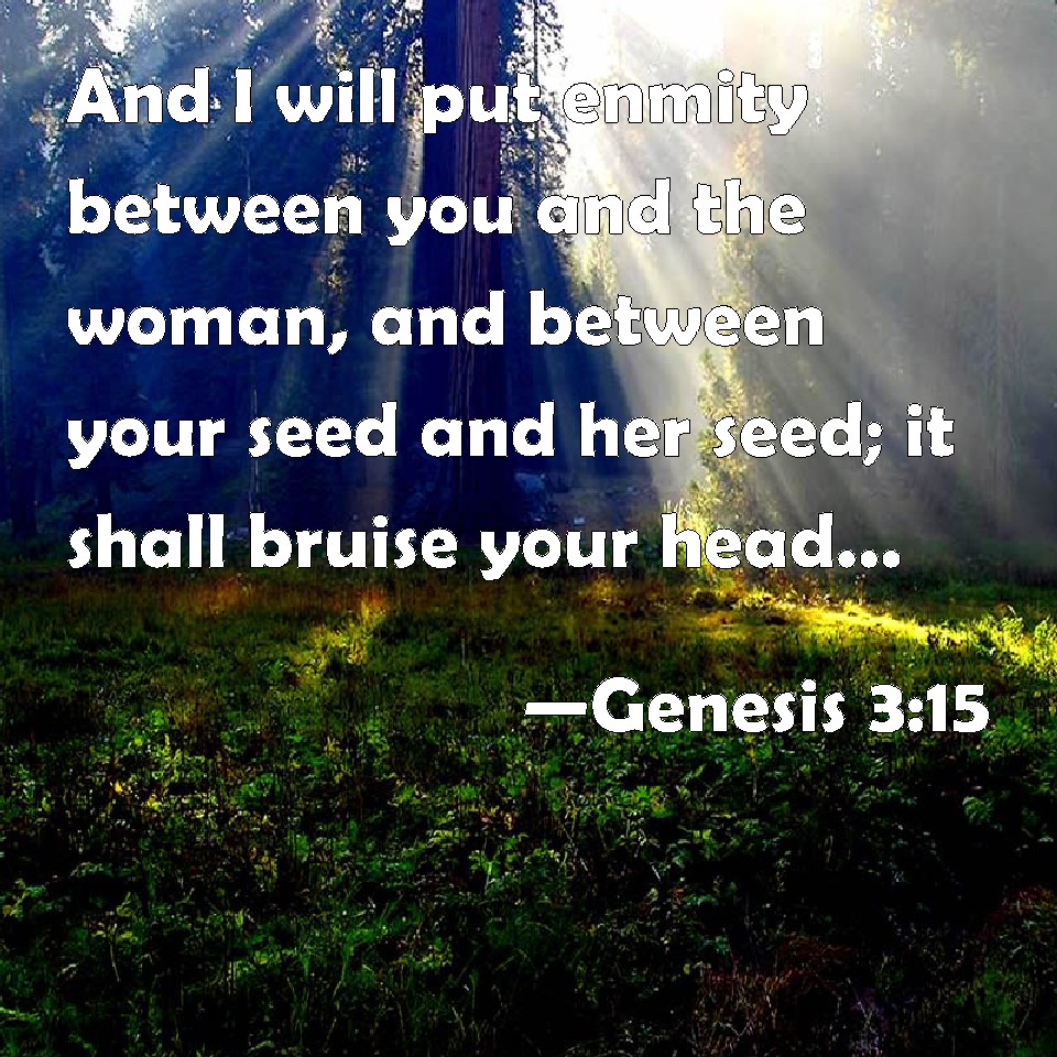 genesis-3-15-and-i-will-put-enmity-between-you-and-the-woman-and