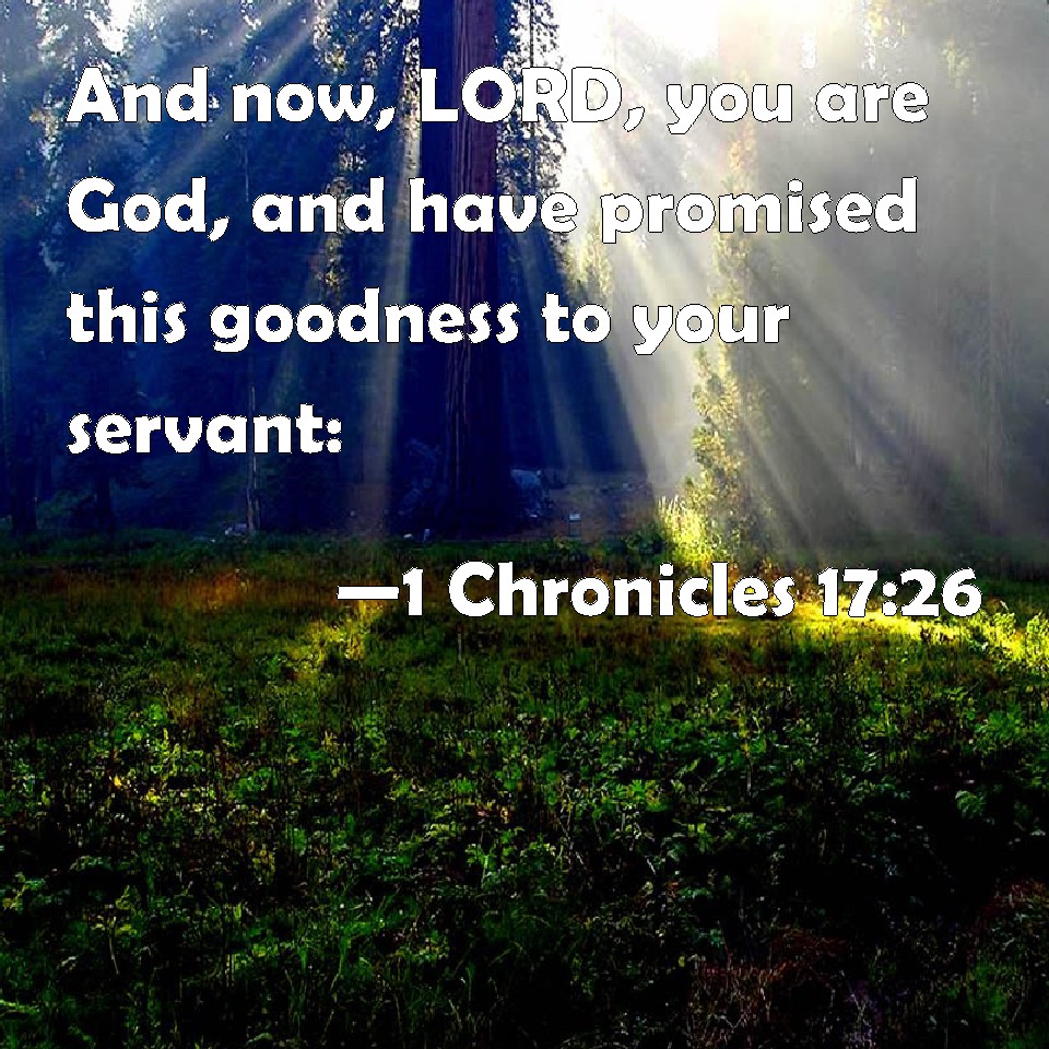 1 Chronicles 17:26 And now, LORD, you are God, and have promised this ...