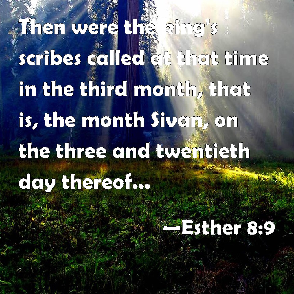 Esther 8:9 Then were the king's scribes called at that time in the