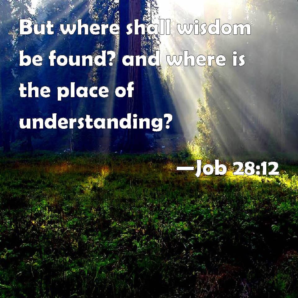 Job 28:12 But where shall wisdom be found? and where is the place of  understanding?