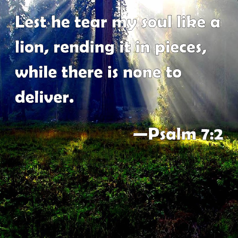 Psalm 7:2 Lest He Tear My Soul Like A Lion, Rending It In Pieces, While 