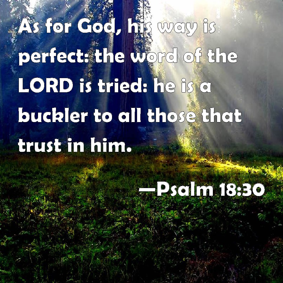 Psalm 18:30 As For God, His Way Is Perfect: The Word Of The Lord Is 