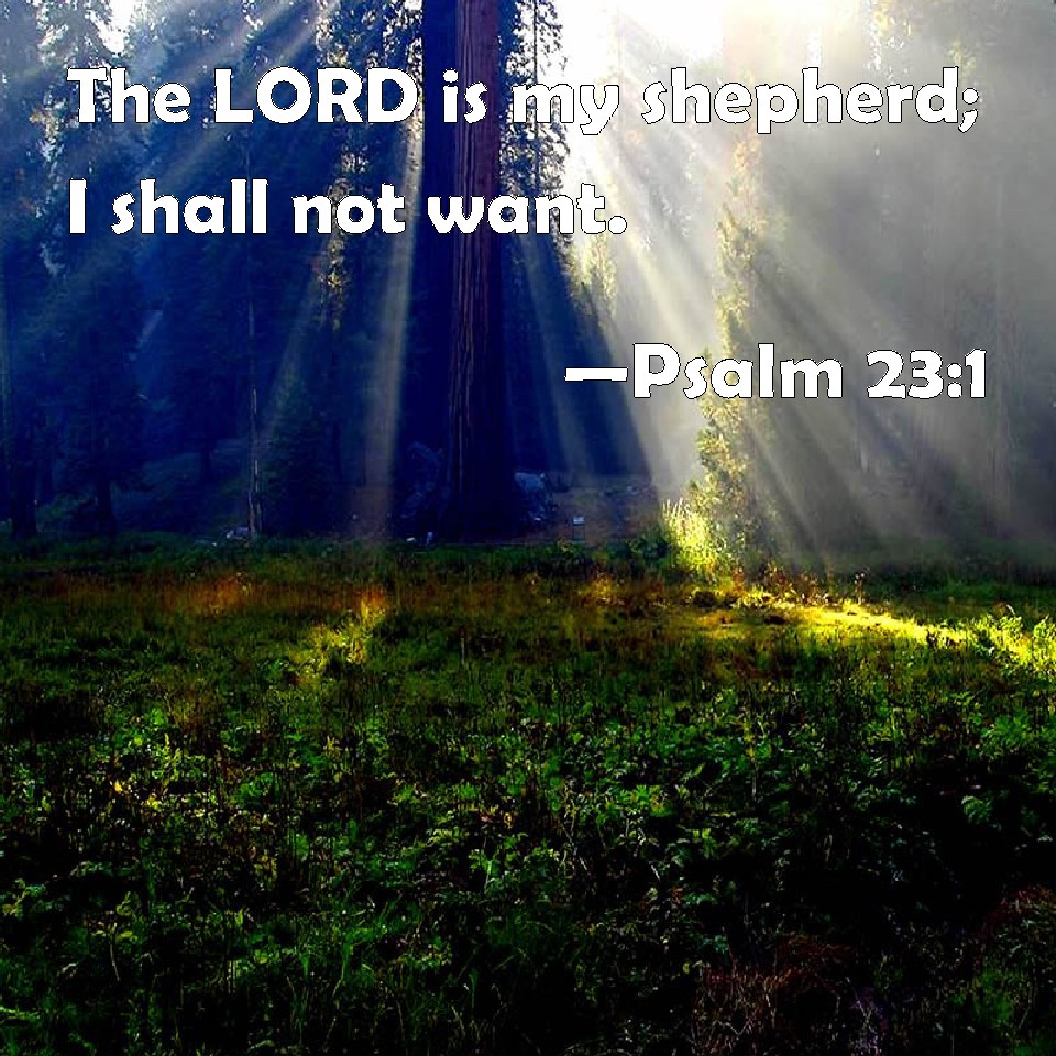 Psalm 23:1 The LORD is my shepherd; I shall not want.