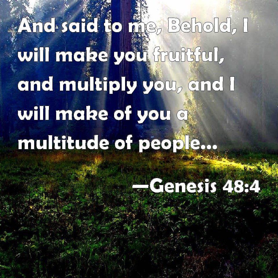 Genesis 48:4 And Said To Me, Behold, I Will Make You Fruitful, And ...