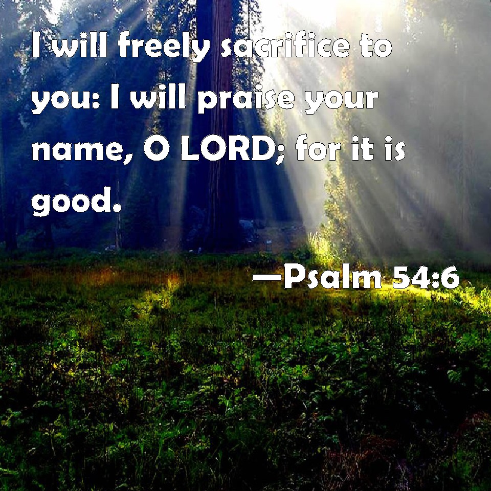 psalm-54-6-i-will-freely-sacrifice-to-you-i-will-praise-your-name-o