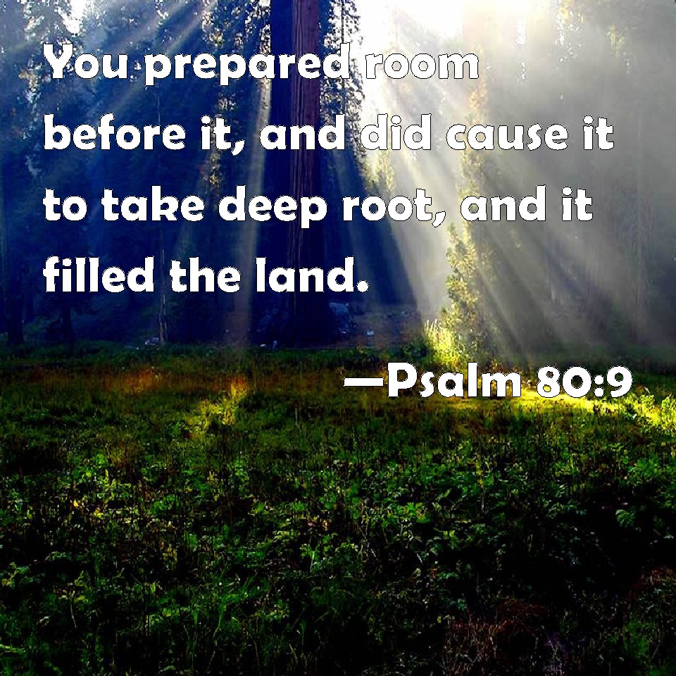 psalm-80-9-you-prepared-room-before-it-and-did-cause-it-to-take-deep