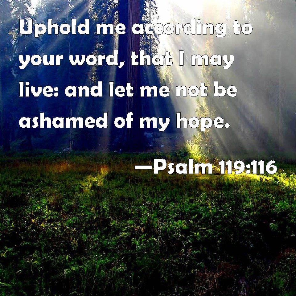 Psalm 119 116 Uphold Me According To Your Word That I May Live And 