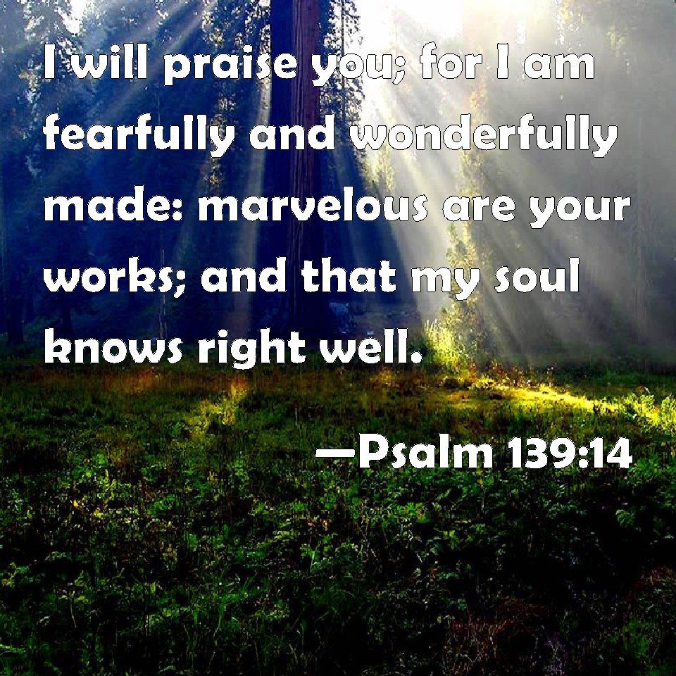 Psalm 139 14 I Will Praise You For I Am Fearfully And Wonderfully Made 