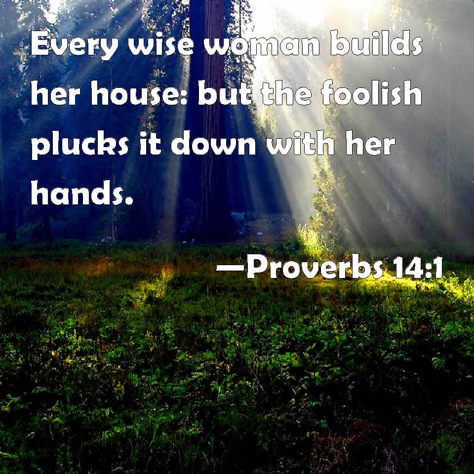 Proverbs 14:1 Every wise woman builds her house: but the foolish plucks ...