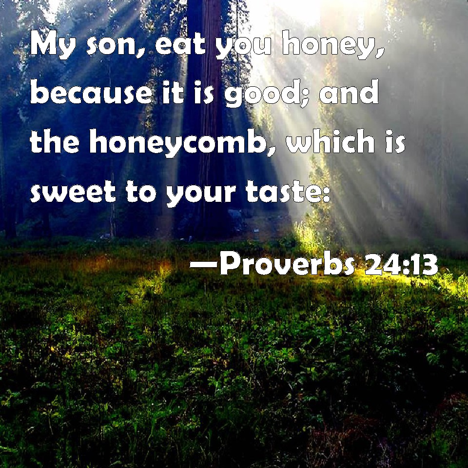 Proverbs 24 13 My Son Eat You Honey Because It Is Good And The