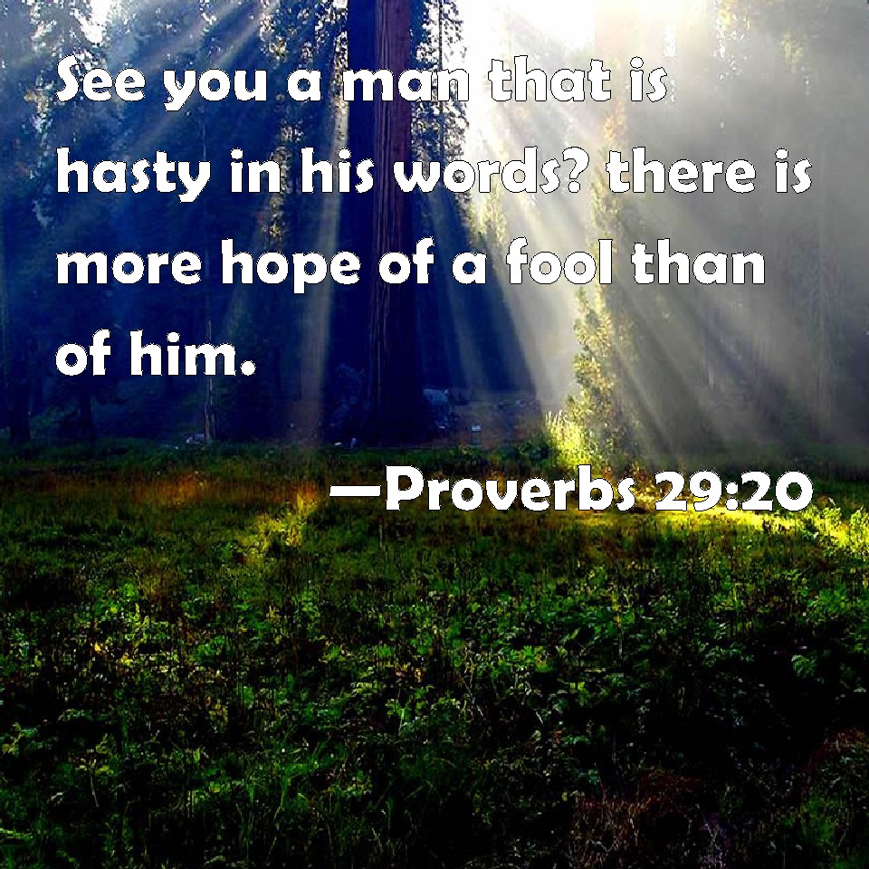 Proverbs 29:20 See you a man that is hasty in his words? there is more ...