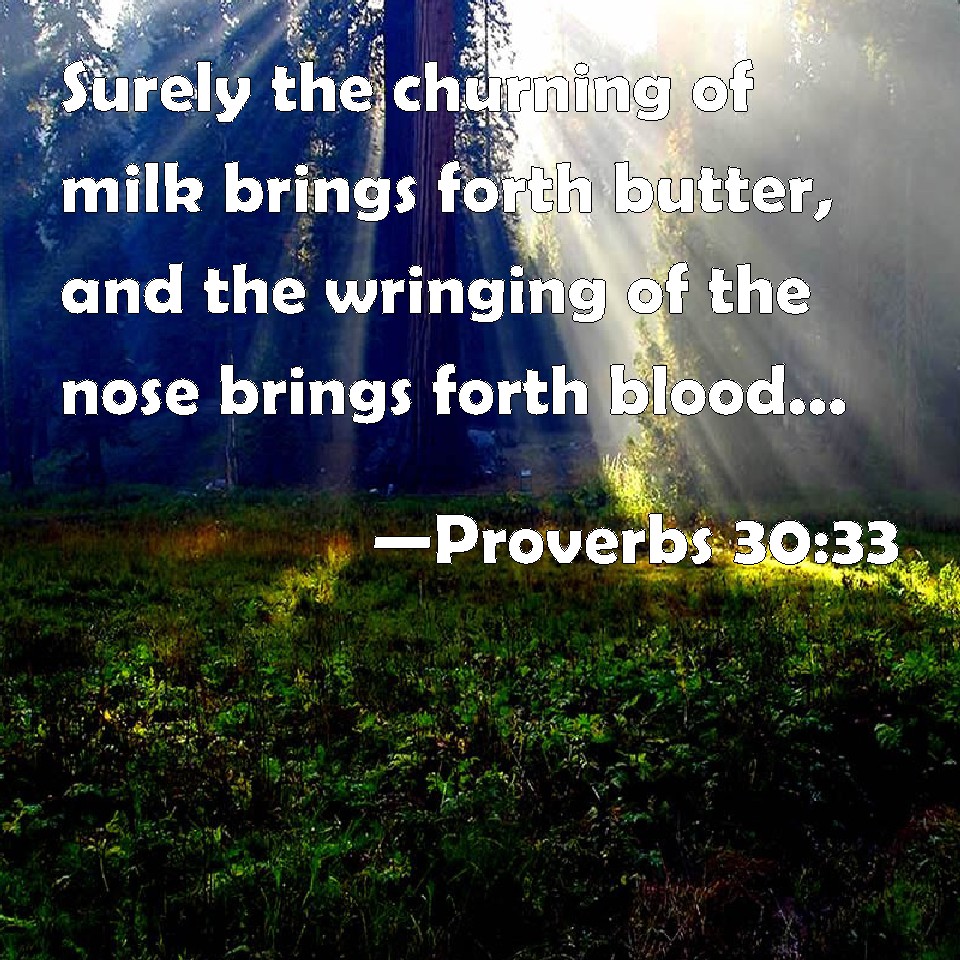 proverbs-30-33-surely-the-churning-of-milk-brings-forth-butter-and-the