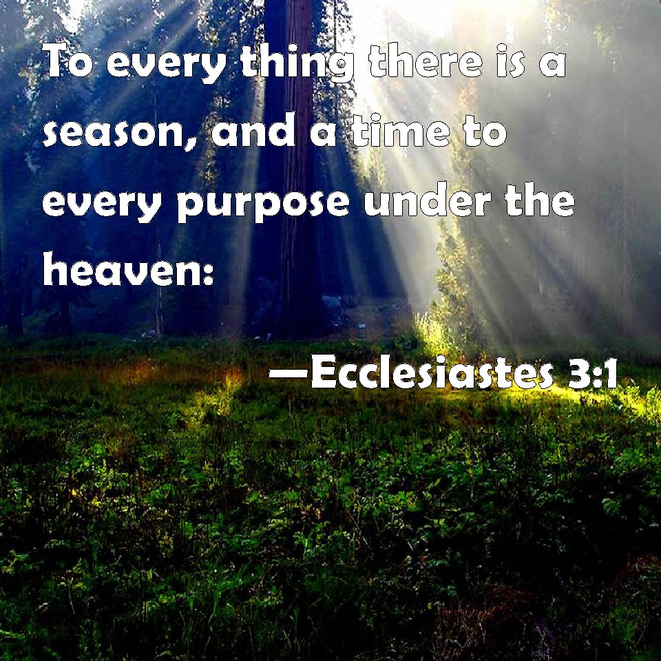 Ecclesiastes 3:1 To Every Thing There Is A Season, And A Time To Every ...