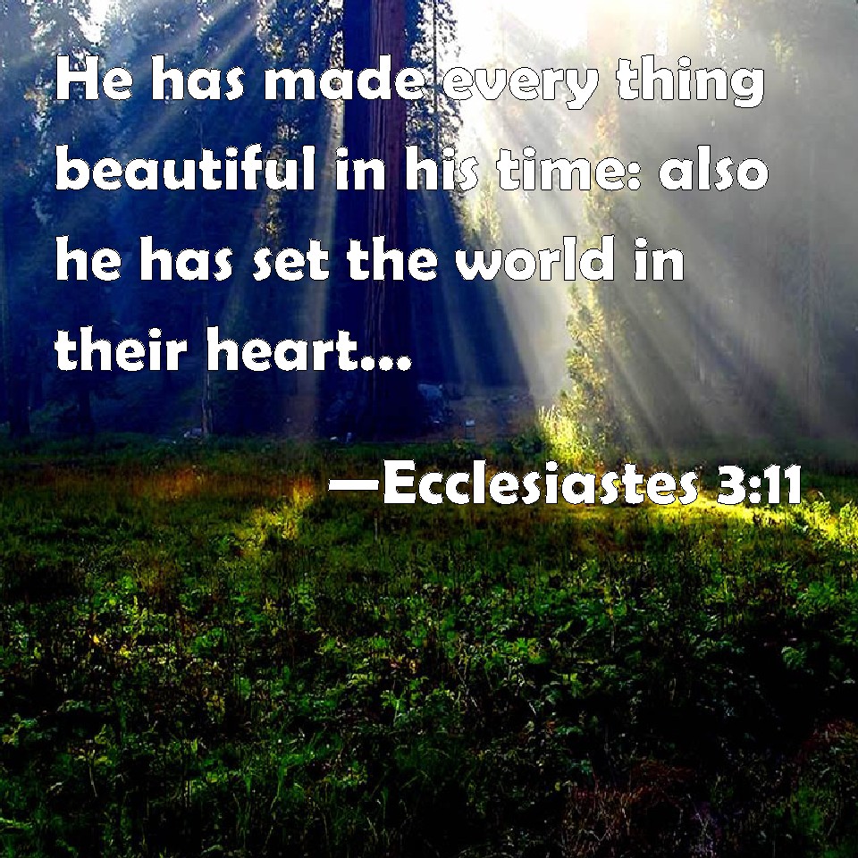 ecclesiastes 3 11 meaning