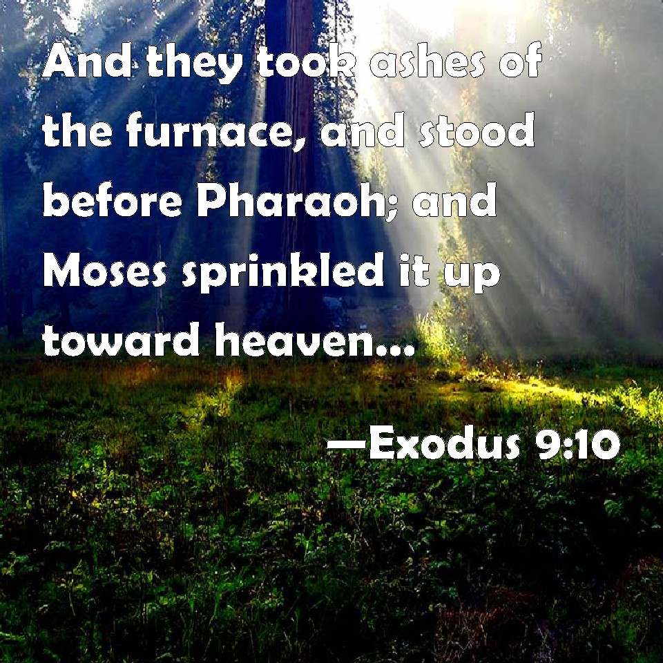 Exodus 9:10 And they took ashes of the furnace, and stood before ...