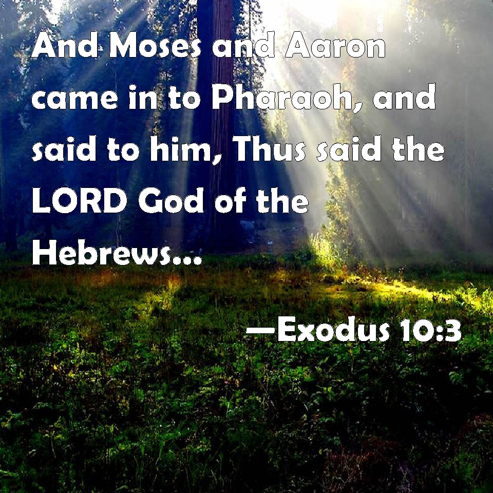Exodus 103 And Moses And Aaron Came In To Pharaoh And Said To Him