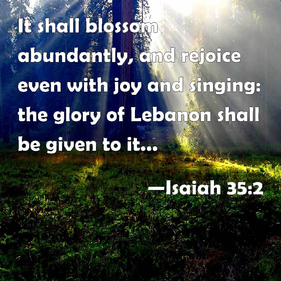 isaiah-35-2-it-shall-blossom-abundantly-and-rejoice-even-with-joy-and