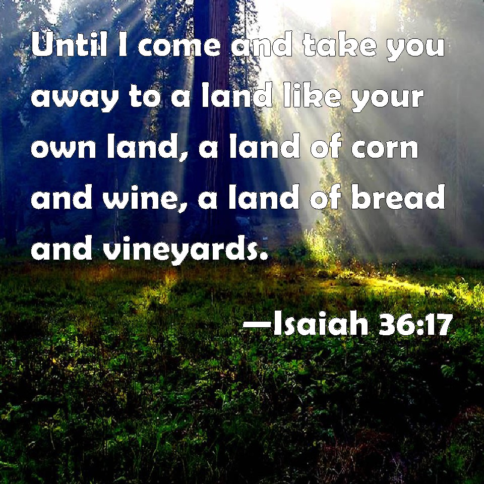 Isaiah 36:17 Until I come and take you away to a land like your own ...