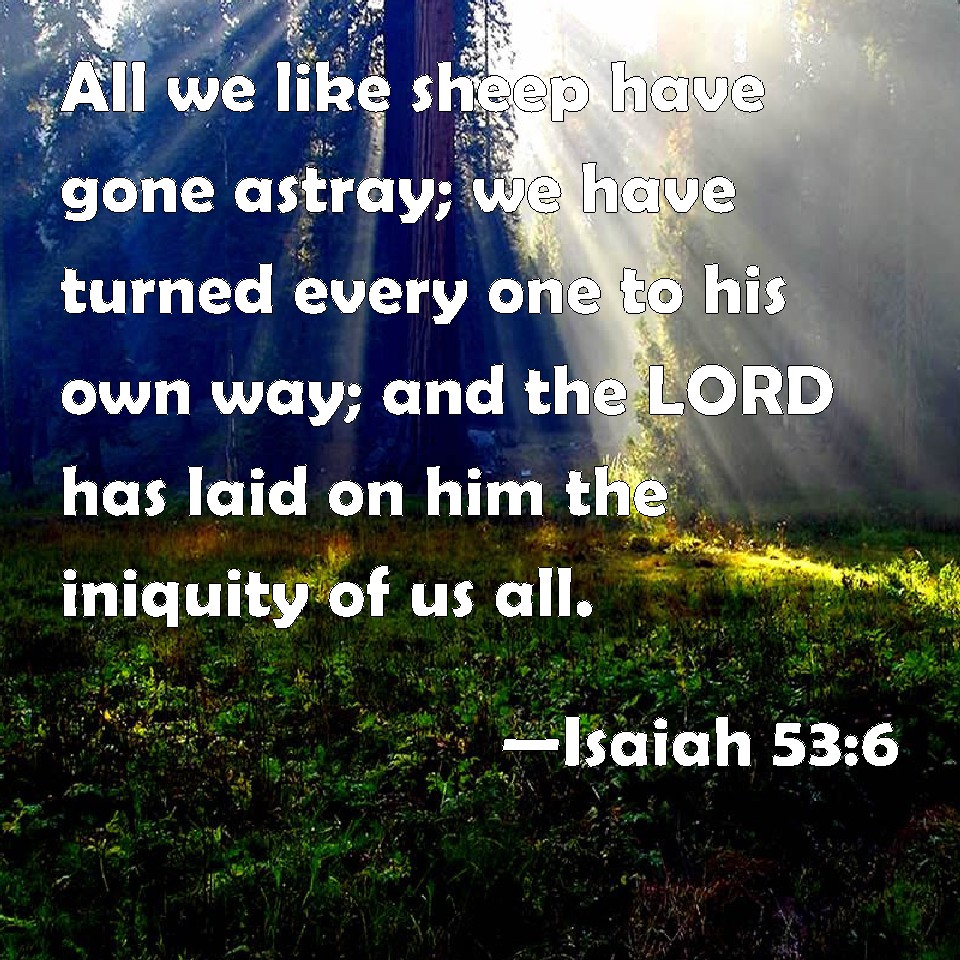 Isaiah 53:6 All we like sheep have gone astray; we have turned every ...