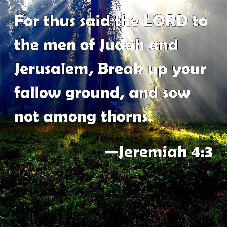 Jeremiah 4:3 For thus said the LORD to the men of Judah and Jerusalem ...