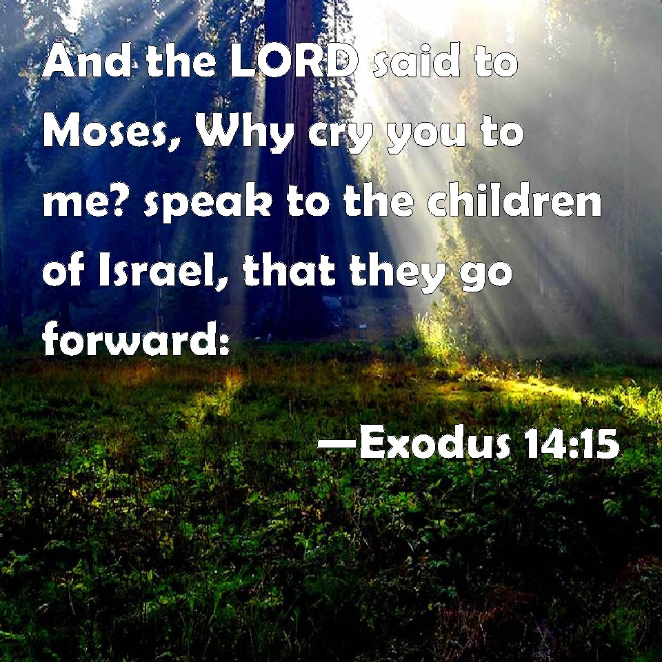 Exodus 14:15 And the LORD said to Moses, Why cry you to me? speak to ...