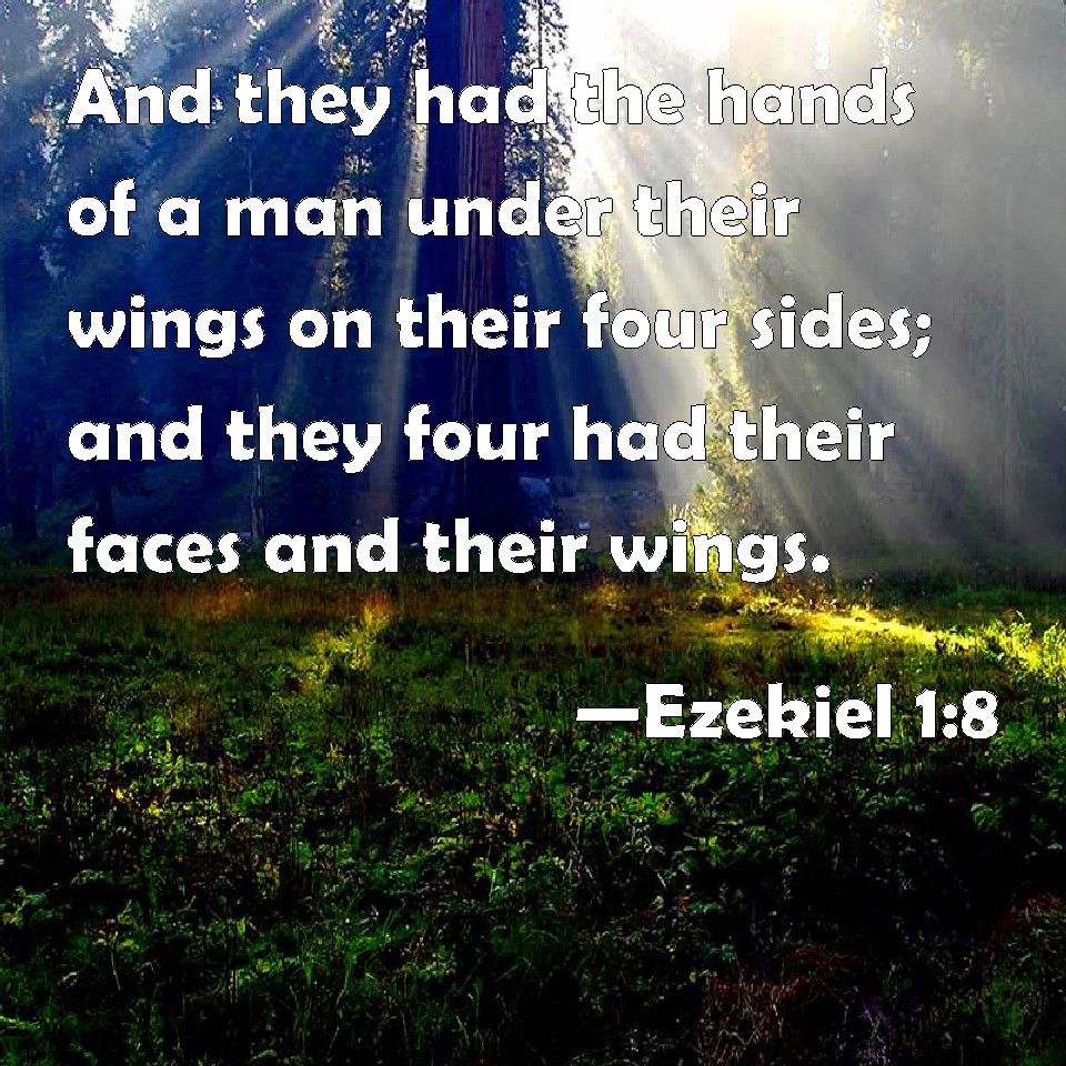 Ezekiel 1:8 And they had the hands of a man under their wings on their ...