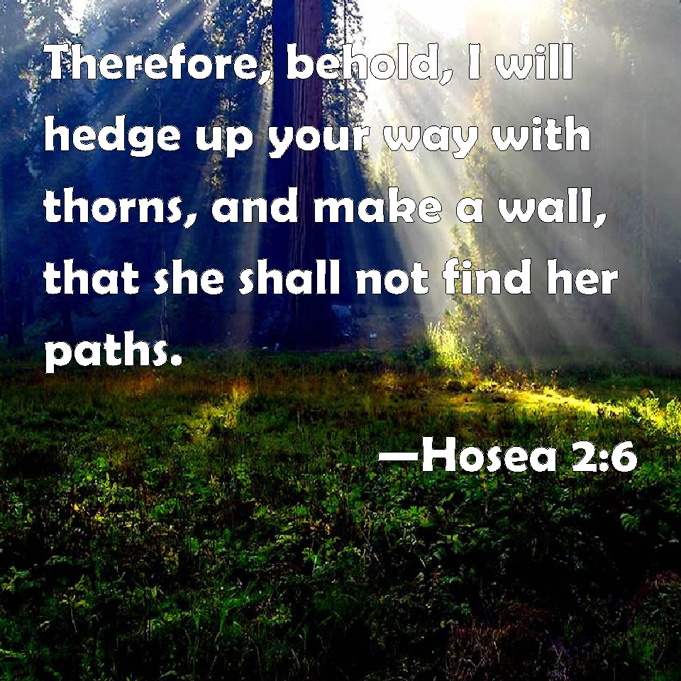 Hosea 2:6 Therefore, Behold, I Will Hedge Up Your Way With Thorns, And Make  A Wall, That She Shall Not Find Her Paths.