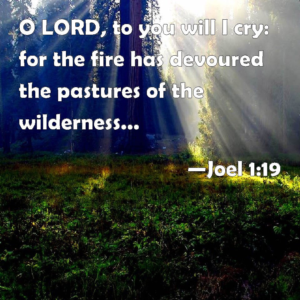 Joel 1:19 O LORD, to you will I cry: for the fire has devoured the ...