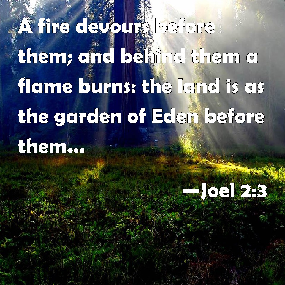 Joel 2:3 A fire devours before them; and behind them a flame burns: the ...