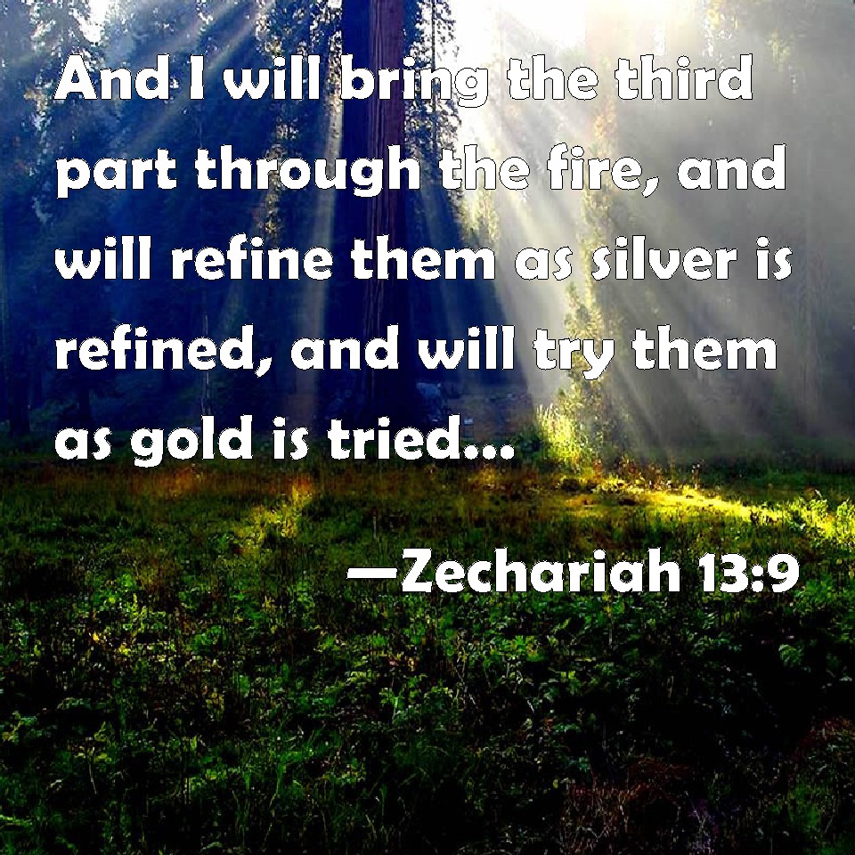 Zechariah 13:9 And I Will Bring The Third Part Through The Fire, And ...