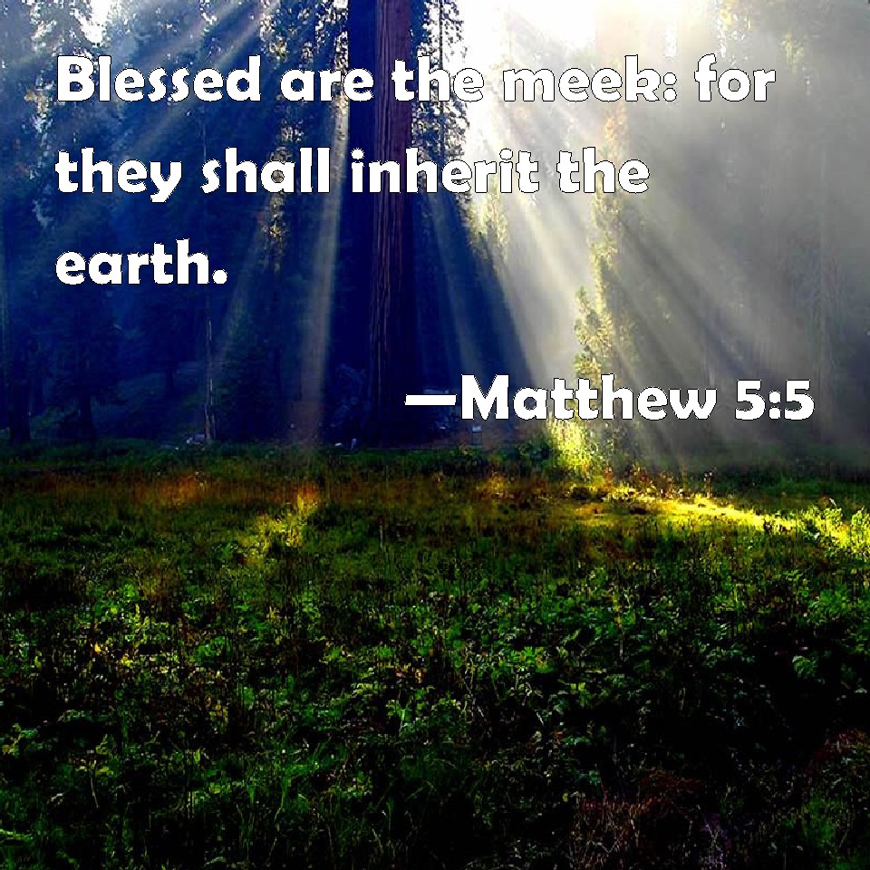 Matthew 5 5 Blessed Are The Meek For They Shall Inherit The Earth 