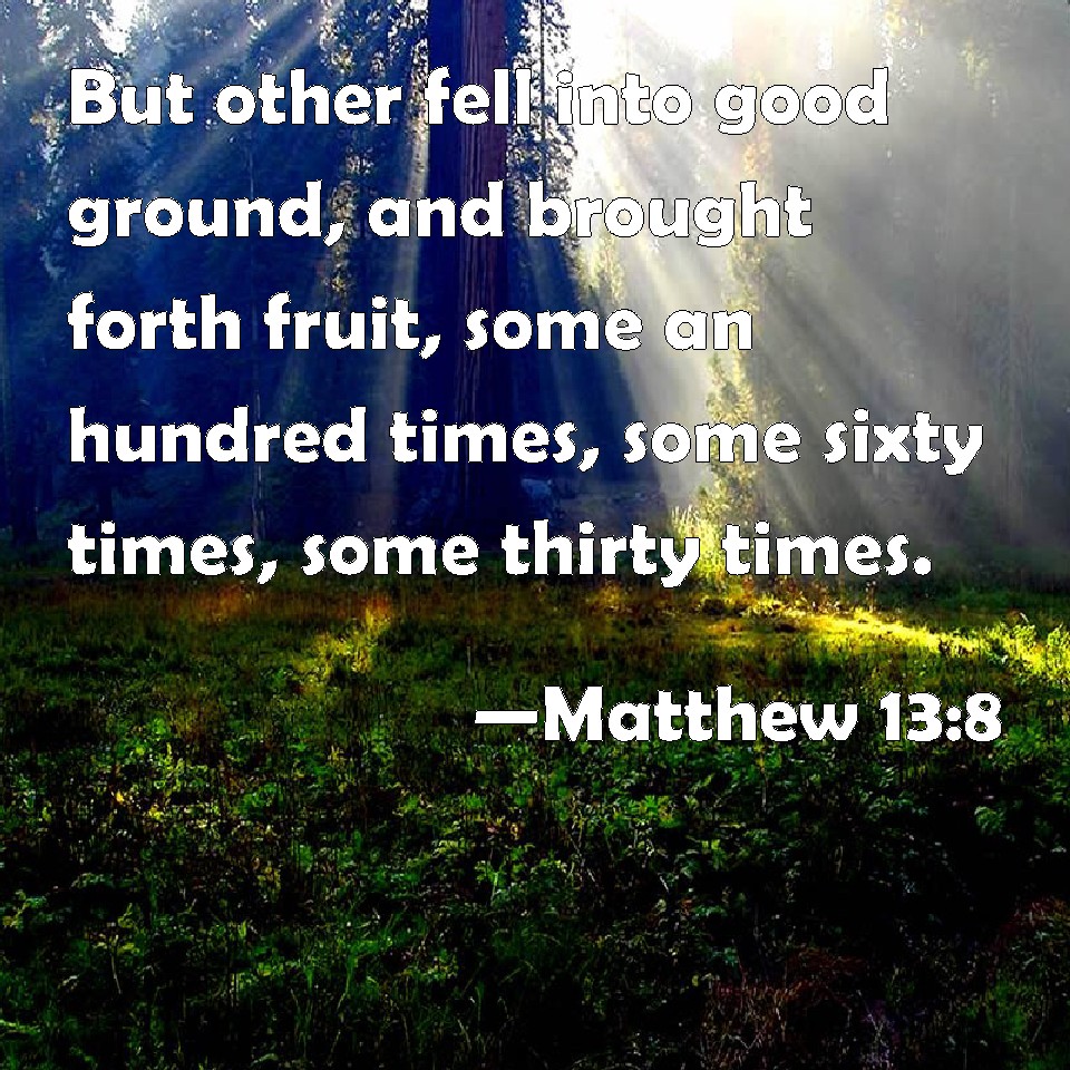 matthew-13-8-but-other-fell-into-good-ground-and-brought-forth-fruit