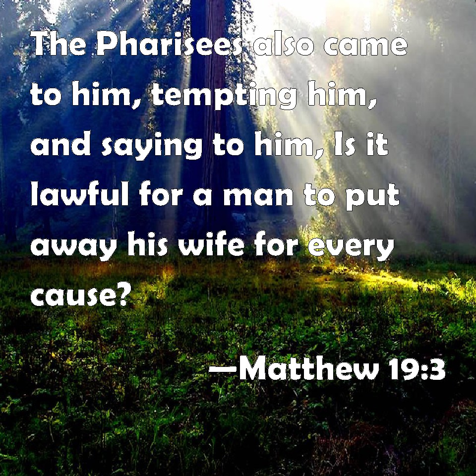 matthew-19-3-the-pharisees-also-came-to-him-tempting-him-and-saying