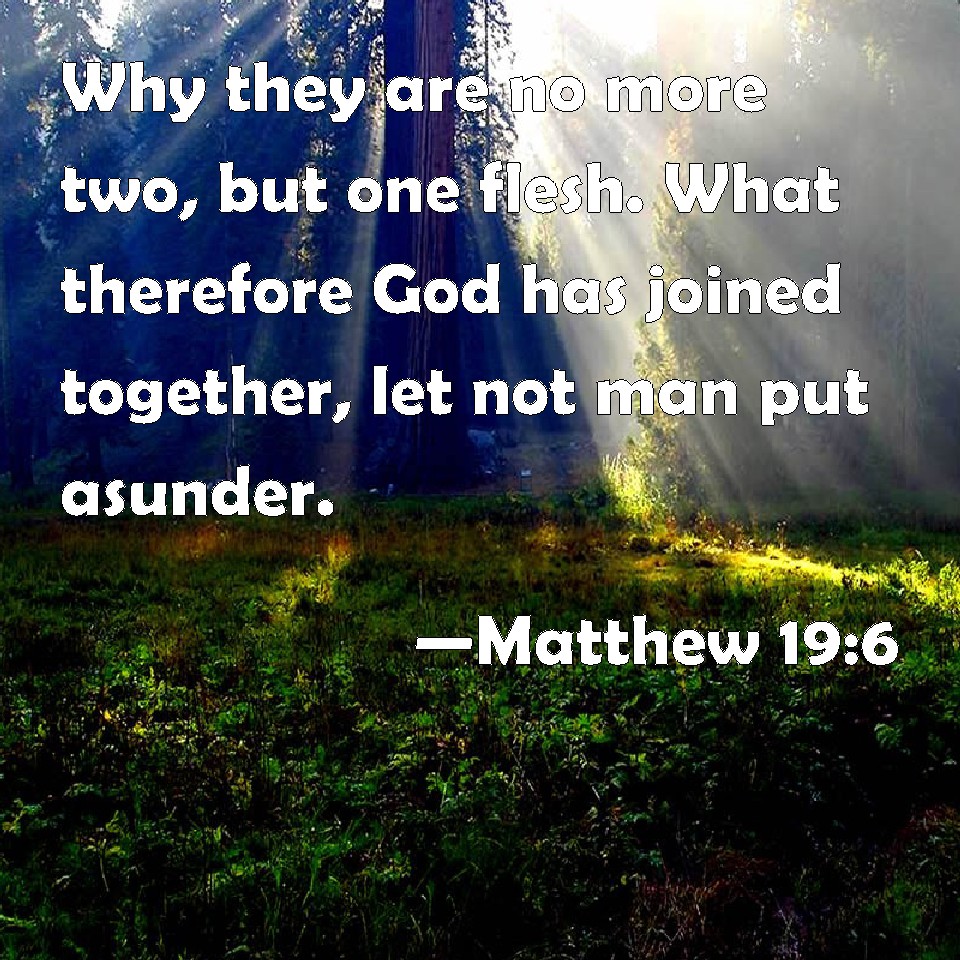 Matthew 19 6 Why They Are No More Two But One Flesh What Therefore 