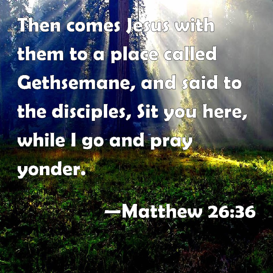 Matthew 26 36 Then Comes Jesus With Them To A Place Called Gethsemane 