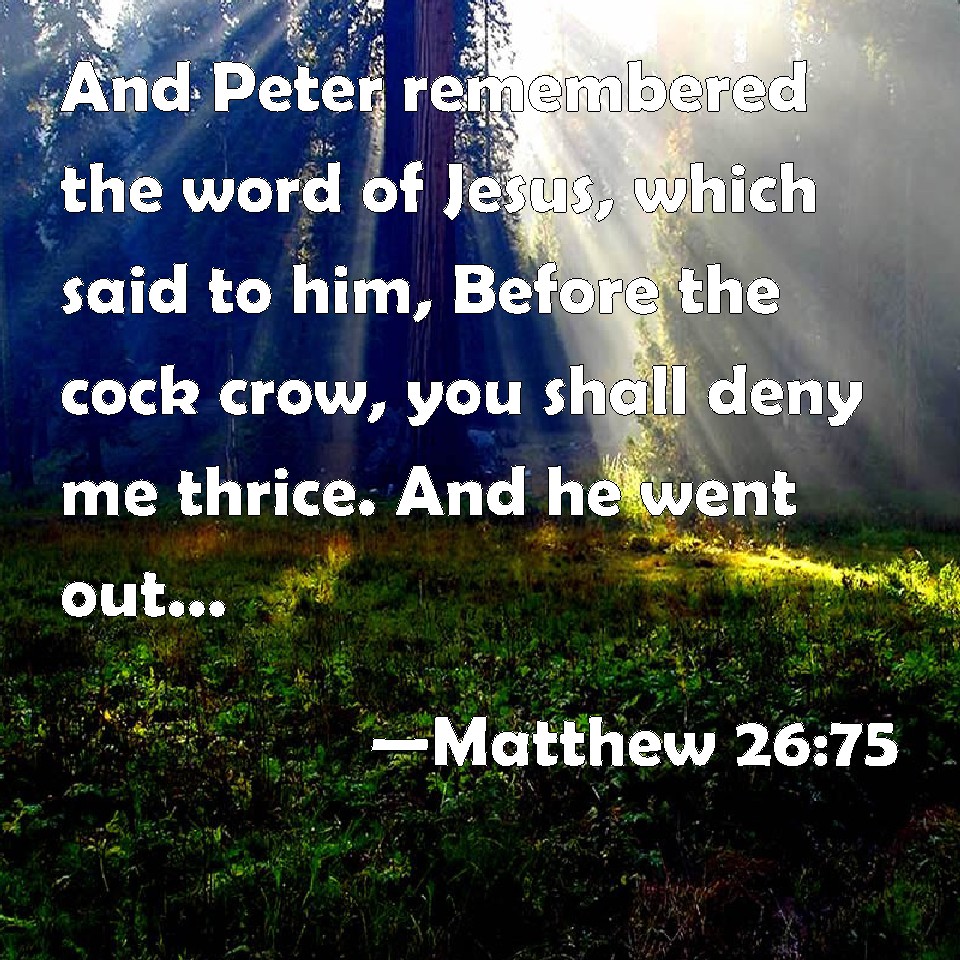 matthew-26-75-and-peter-remembered-the-word-of-jesus-which-said-to-him